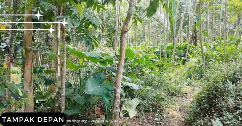 dijual tanah tampingan kec tegalrejo