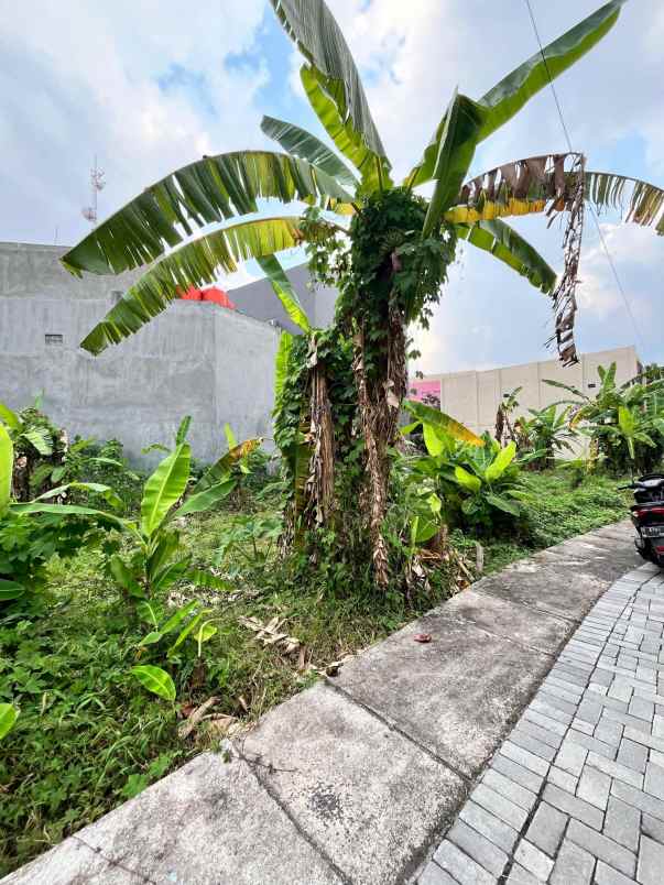 dijual tanah tembalang