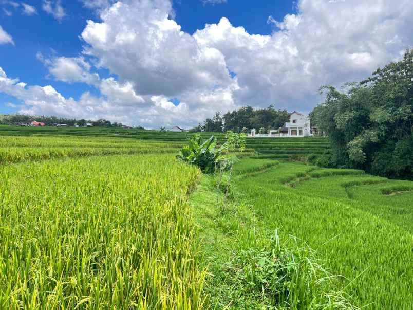 dijual tanah timur kantor kecamatan