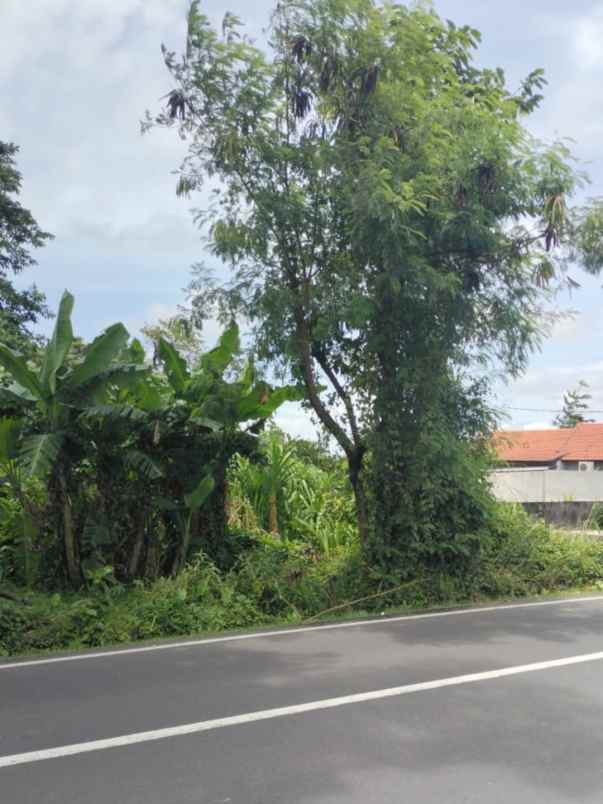 dijual tanah tumbak bayuh