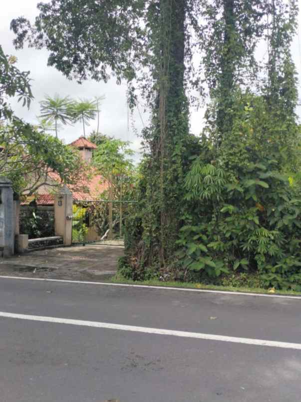 dijual tanah tumbak bayuh
