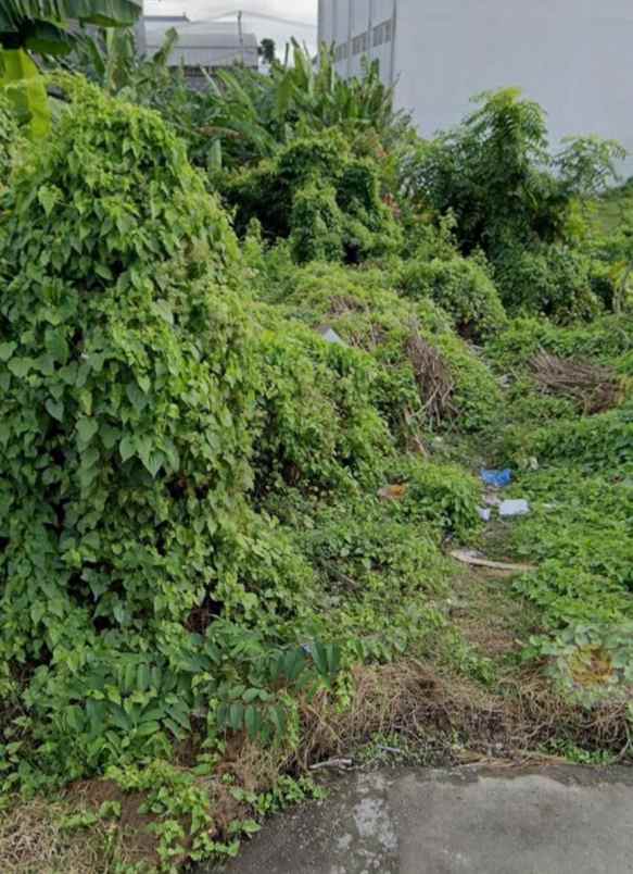 dijual tanah utara citra land