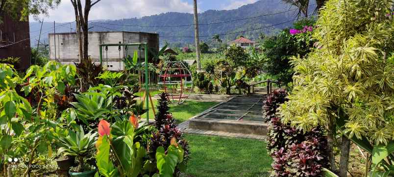 disewakan villa jalan cisarua km 80 puncak