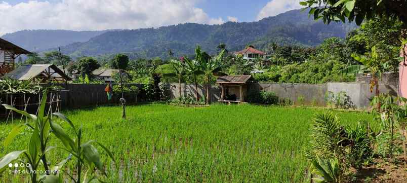 disewakan villa jalan cisarua km 80 puncak