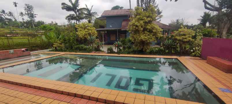 disewakan villa jalan cisarua km 80 puncak