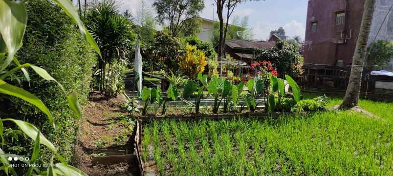 disewakan villa jalan cisarua km 80 puncak