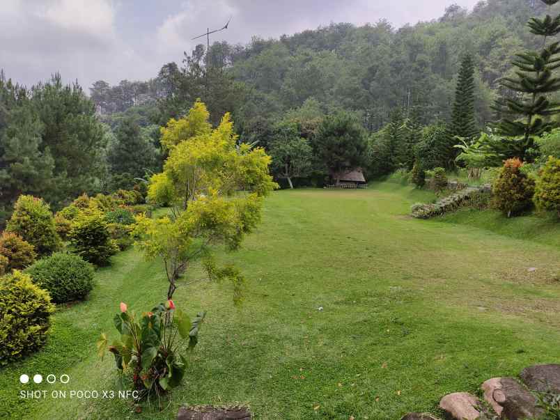 disewakan villa jalan cisarua km 85 puncak