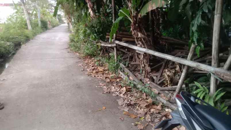 hanya 500 m kampus umy tanah premium kasihan jogja