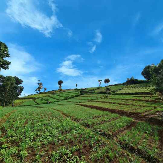 jual kavling tanah bandung murah