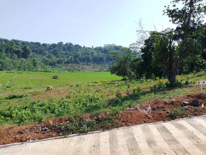 jual tanah 650 ribu per meter dalam area wisata bogor