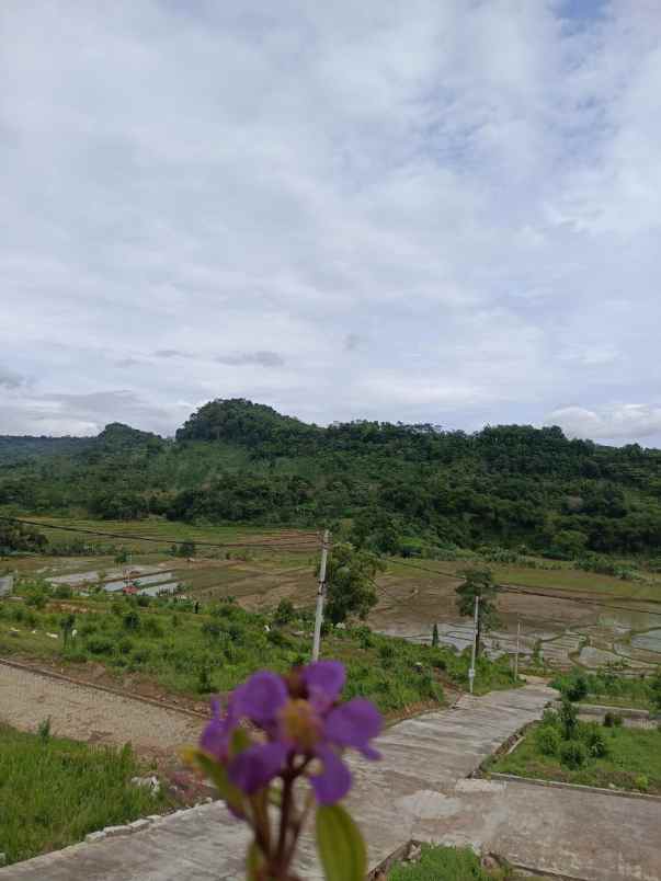 jual tanah 650 ribu per meter dalam area wisata bogor