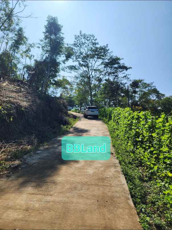 jual tanah murah bandung ciwidey