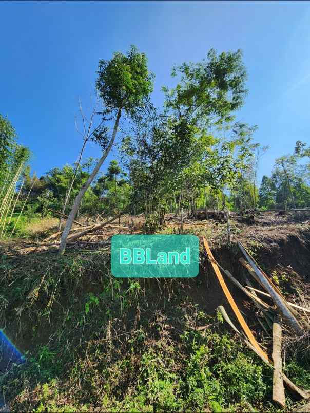 jual tanah murah bandung ciwidey