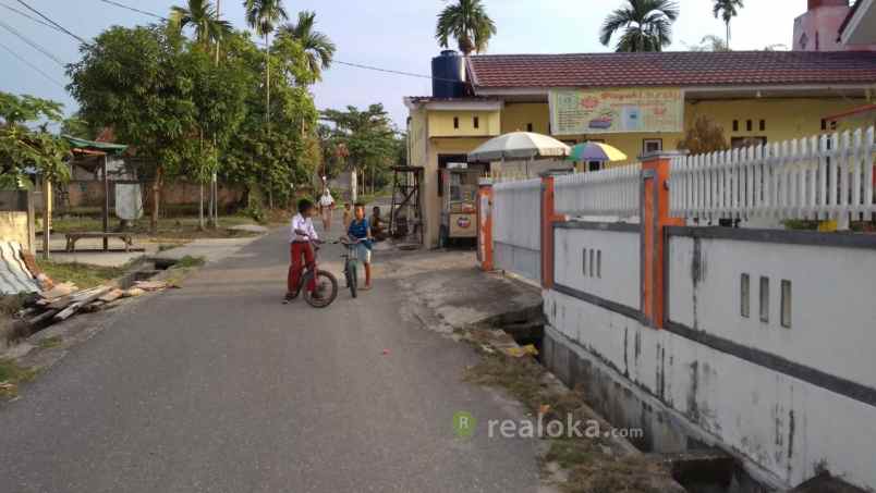 rumah arifin ahmad pekanbaru