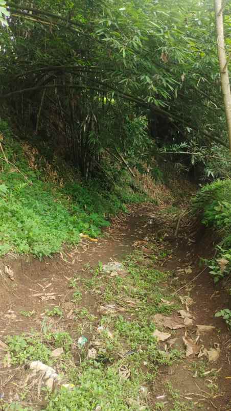 rumah bonus tanah luas dan strategis di sulfat