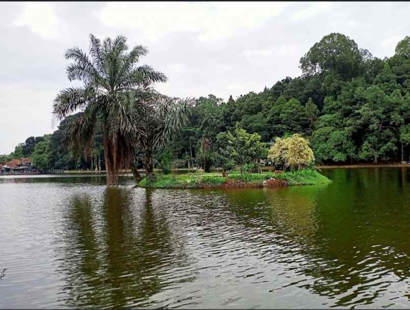 rumah hunian yang asri dan nyaman
