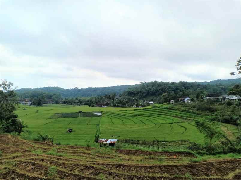 rumah karangpandan karanganyar