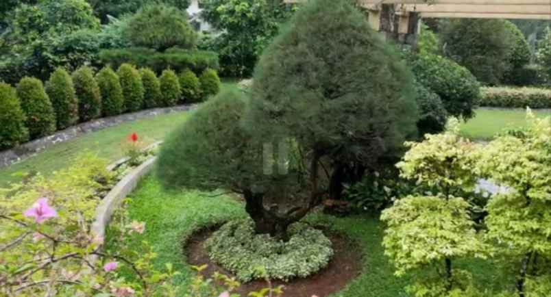 rumah kebun buah villa mewah bogor