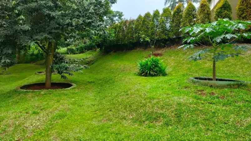 rumah kebun buah villa mewah bogor