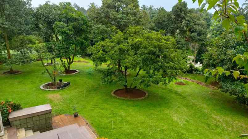 rumah kebun buah villa mewah bogor