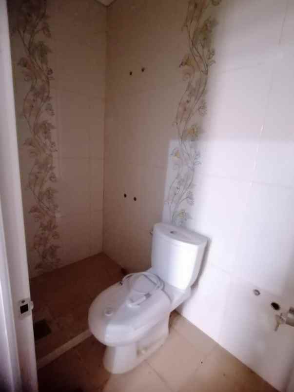 rumah kelapa puan kelapa gading