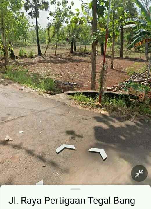 sebidang tanah strategis nol jalan poros tegal bang