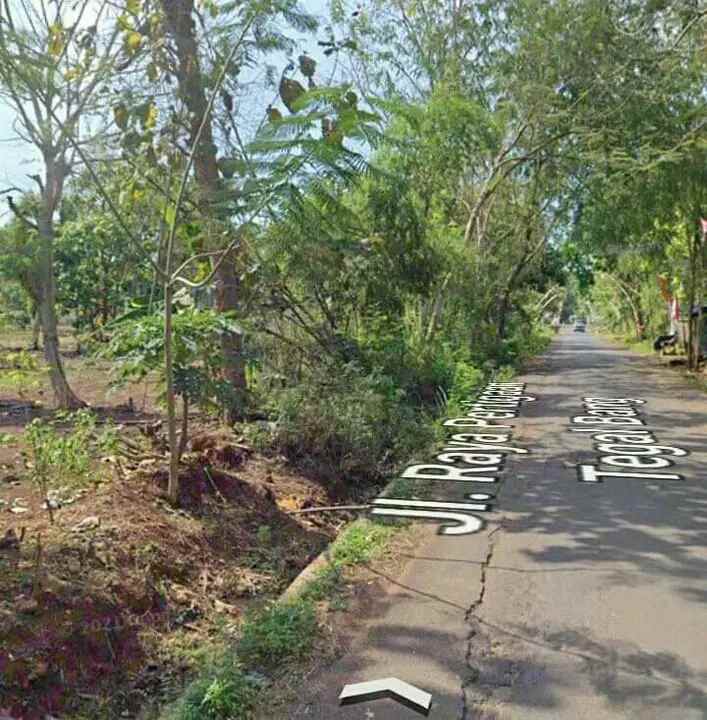 sebidang tanah strategis nol jalan poros tegal bang