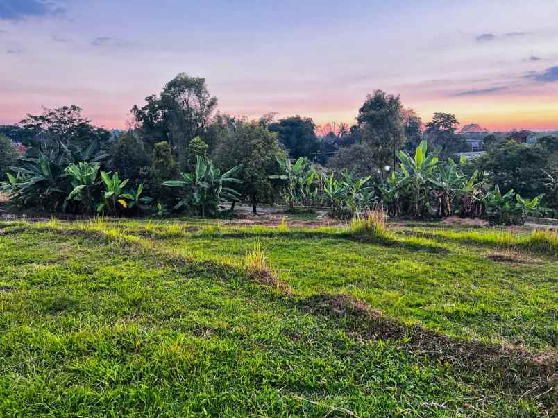 tanah 727m view hamparan sawah karangpandan