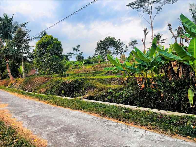 tanah 727m view hamparan sawah karangpandan