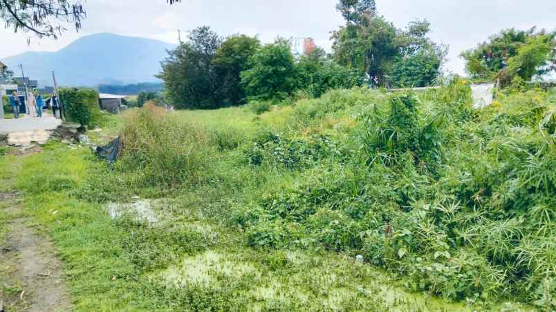 tanah cileunyi cinunuk dekat kampus kota bandung 500m