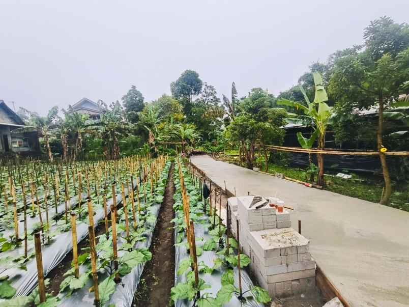 tanah datar tawangmangu 556m siap bangun villa