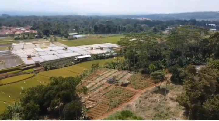 tanah datar view pegunungan jalan cagak subang