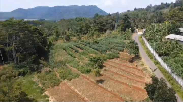tanah datar view pegunungan jalan cagak subang
