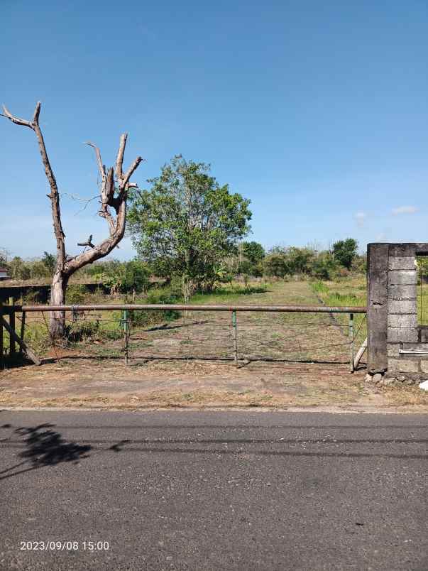 tanah di balangan bali hanya 900 meter dari pantai