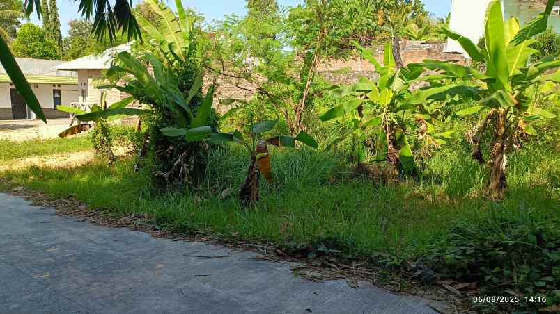 tanah di way hui itera luas 400m shm