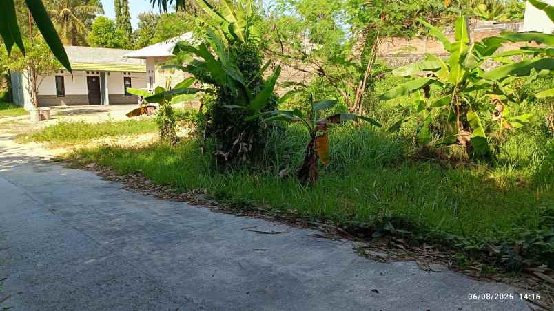 tanah di way hui itera luas 400m shm