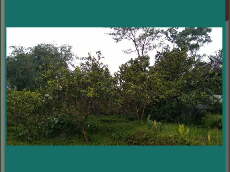 tanah dijual cocok untuk wisata gunung salak bogor