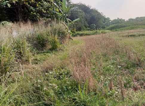 tanah industri 1 6 hektar cileungsi kab bogor