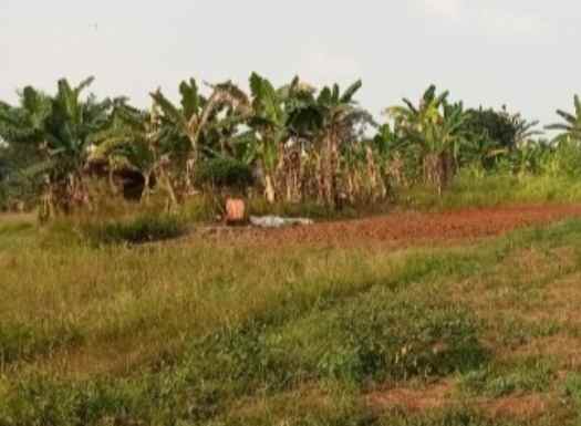 tanah industri 1 6 hektar cileungsi kab bogor