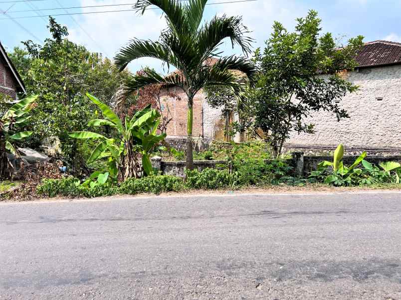 tanah jl raya batujamus suroboyo