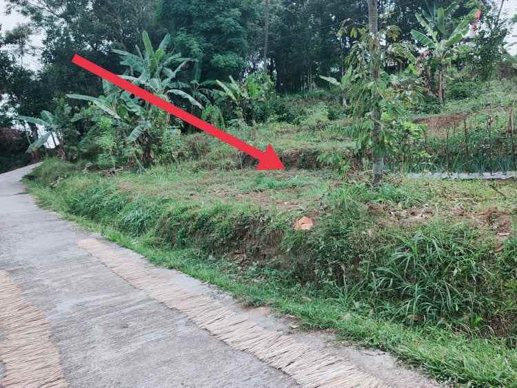 tanah karangpandan karanganyar