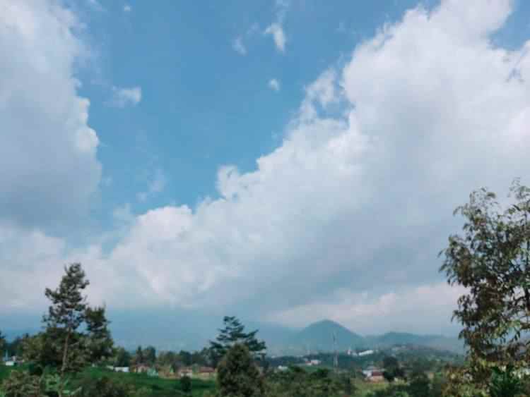 tanah karangpandan karanganyar