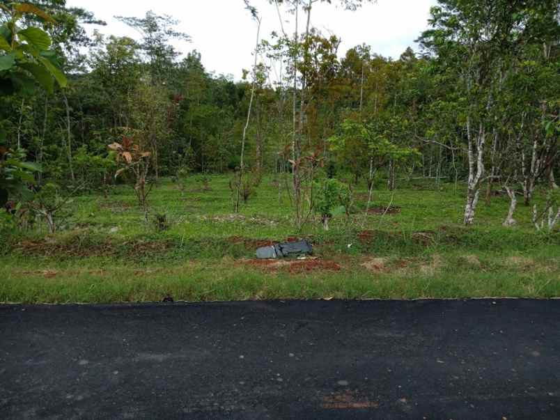 tanah karangpandan karanganyar