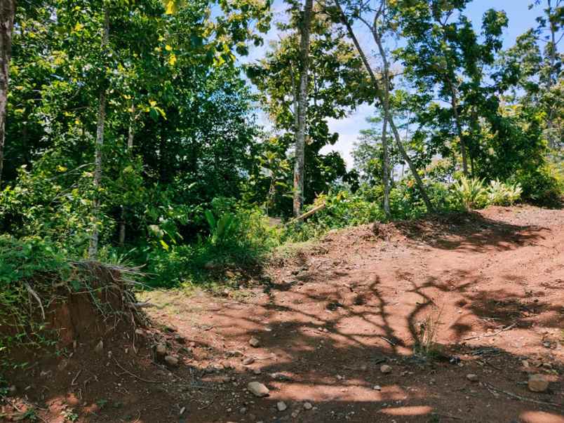 tanah karangpandan karanganyar