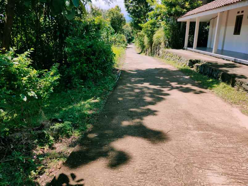 tanah karangpandan karanganyar