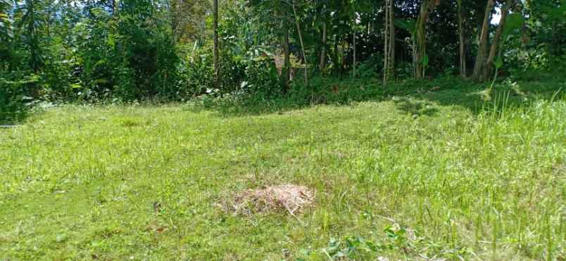 tanah karangpandan karanganyar