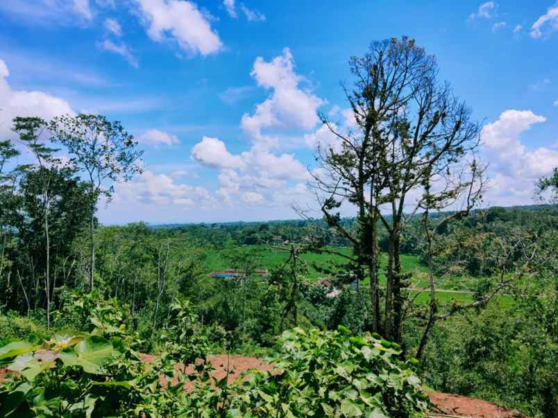 tanah karangpandan karanganyar