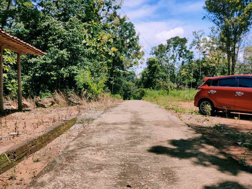 tanah karangpandan karanganyar