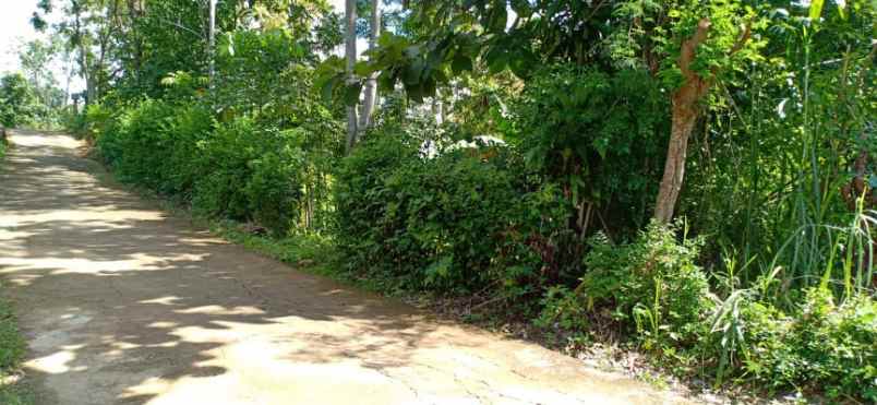 tanah karangpandan karanganyar