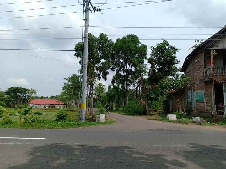 tanah karangpelem kedawung sragen